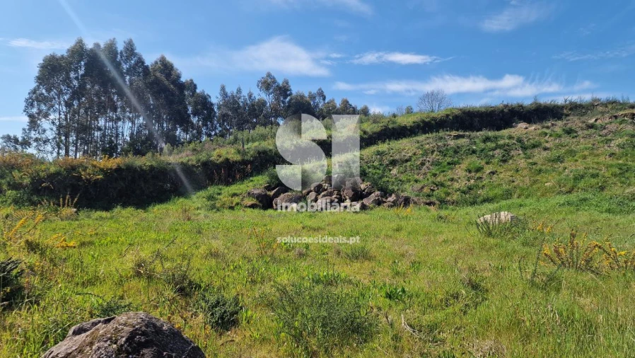 Terreno para Venda em Termas de São Vicente Foto 6