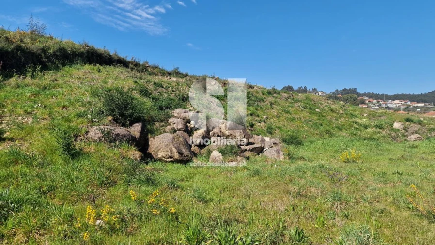 Terreno para Venda em Termas de São Vicente Foto 13