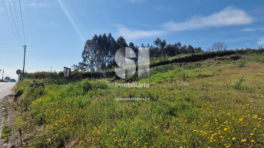 Terreno para Venda em Termas de São Vicente Foto 32