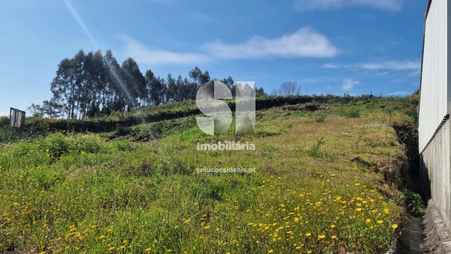 Terreno para Venda em Termas de São Vicente Foto 33