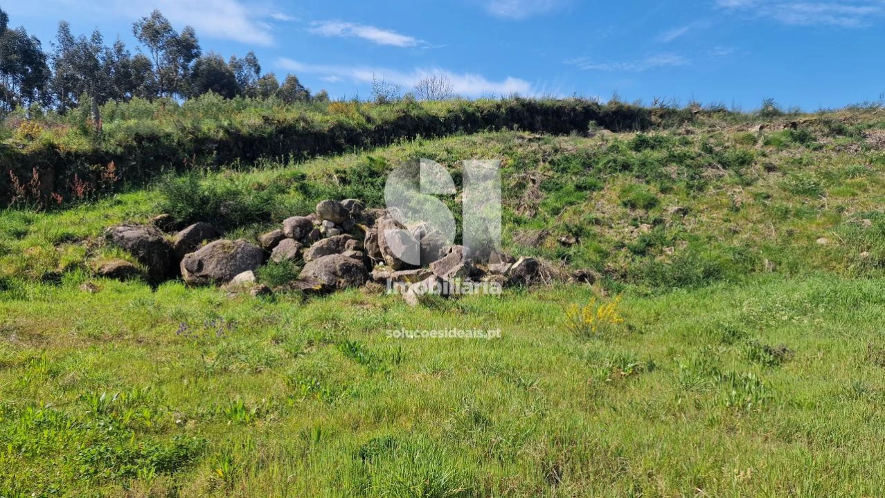 Terreno para Venda em Termas de São Vicente Foto 8