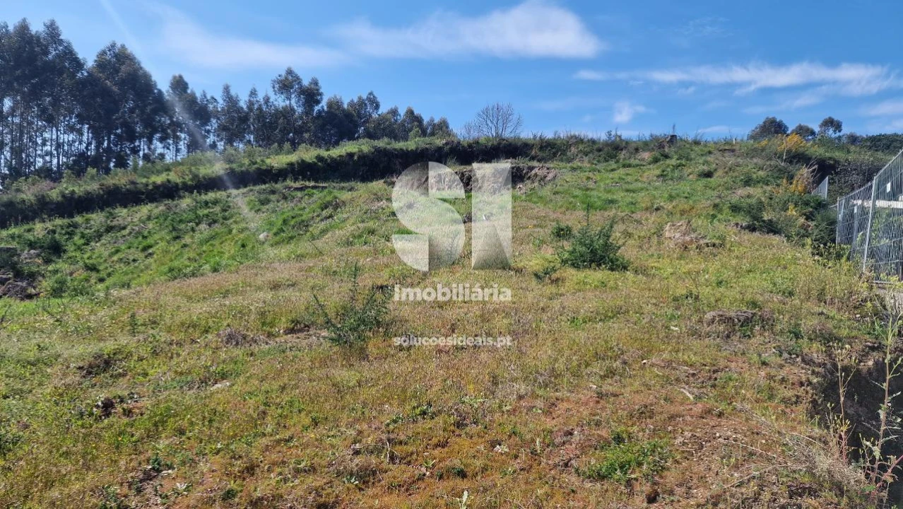 Terreno para Venda em Termas de São Vicente Foto 26