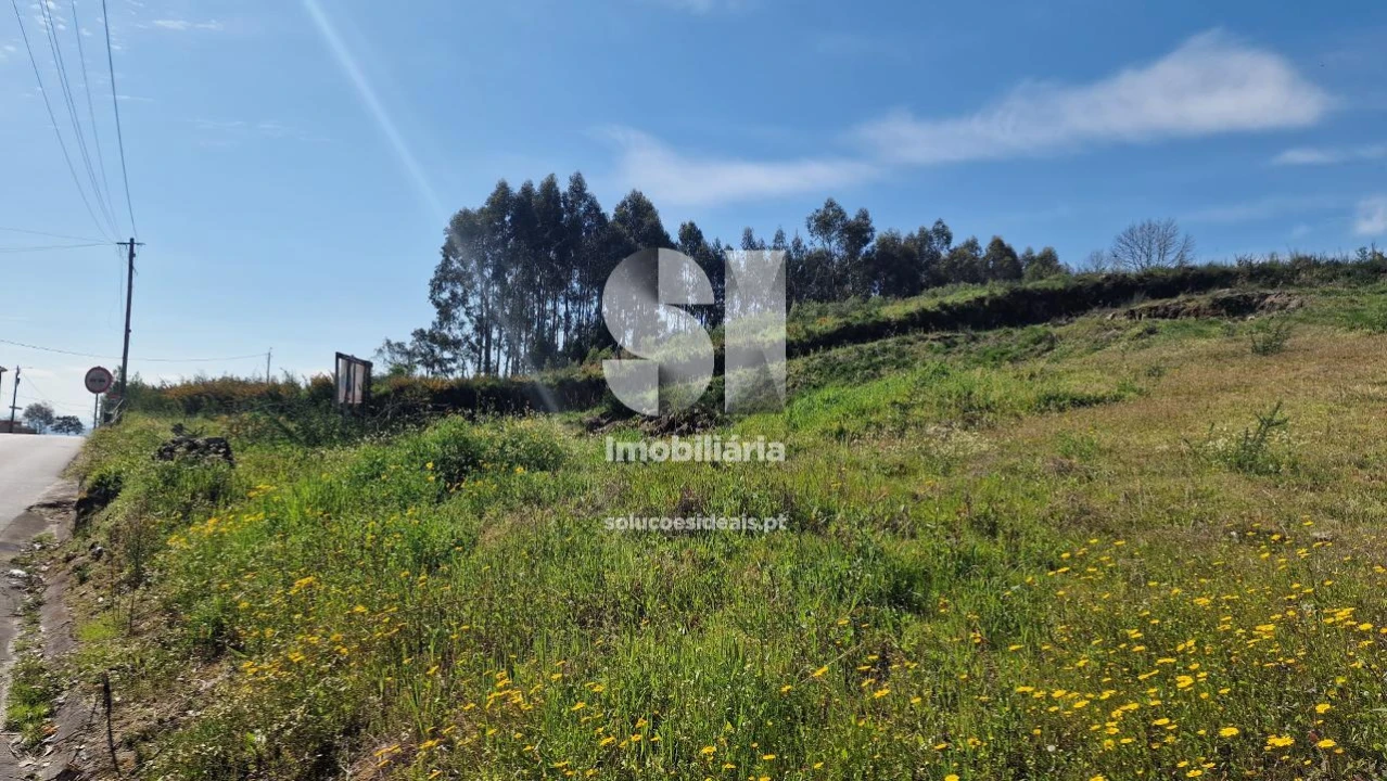 Terreno para Venda em Termas de São Vicente Foto 32