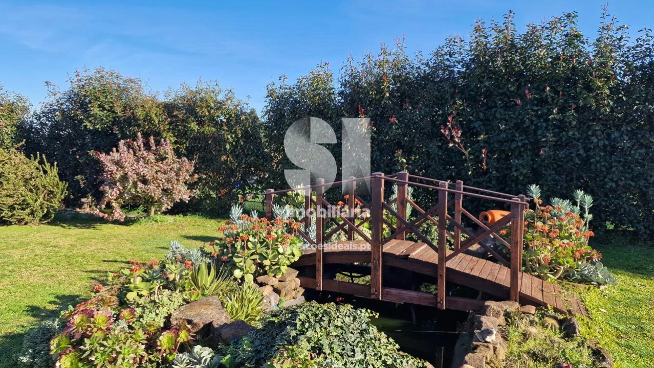 Quinta T3 para Venda em Reguenga Foto 34