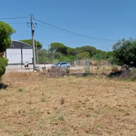 Terreno para Venda em Almancil