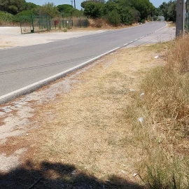 Terreno para Venda em Almancil