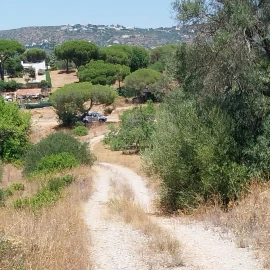Terreno para Venda em Almancil