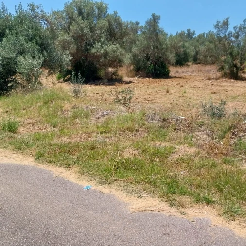 Terreno para Venda em Almancil Foto 2