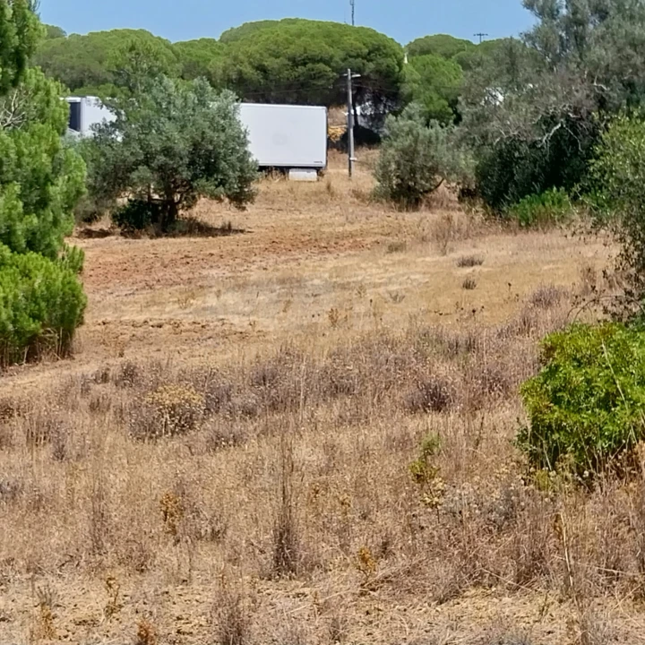 Terreno para Venda em Almancil Foto 5