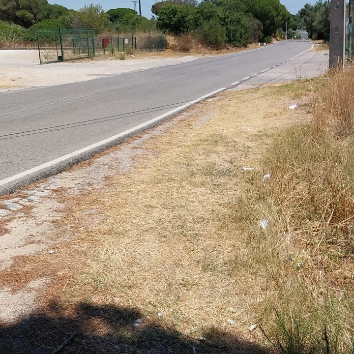 Terreno para Venda em Almancil Foto 1