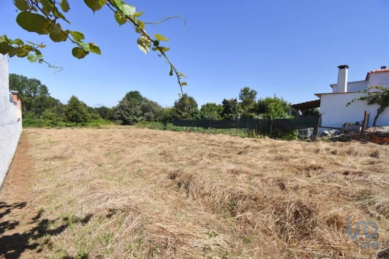 Terreno para Venda em Vila Nova Foto 13