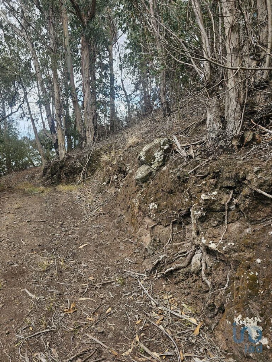 Terreno para Venda em Agua de Pena Foto 5