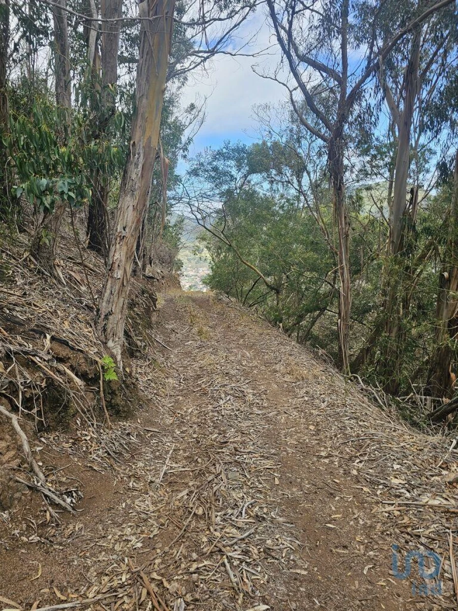 Terreno para Venda em Agua de Pena Foto 3