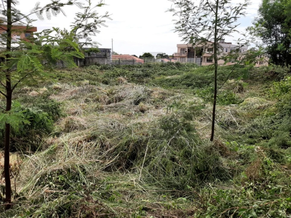 Terreno para Venda em Serzedo e Perosinho Foto 8