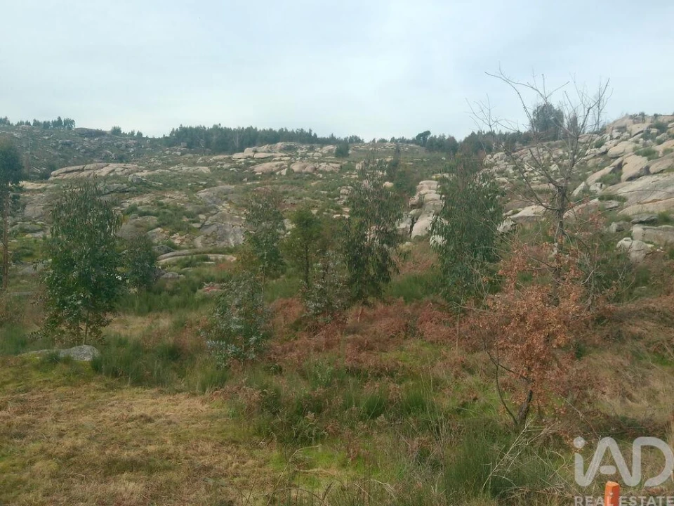 Terreno para Venda em Seixo da Beira Foto 26