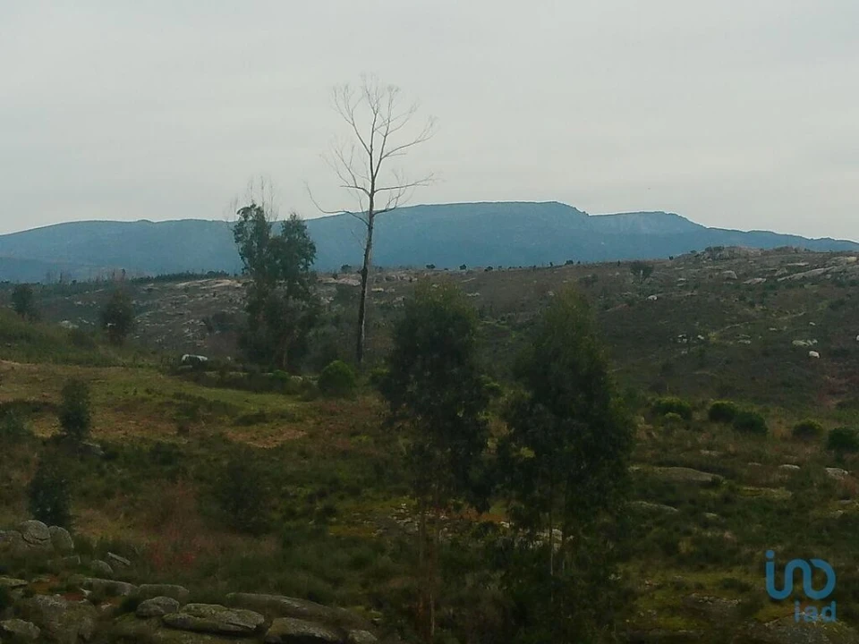 Terreno para Venda em Seixo da Beira Foto 13