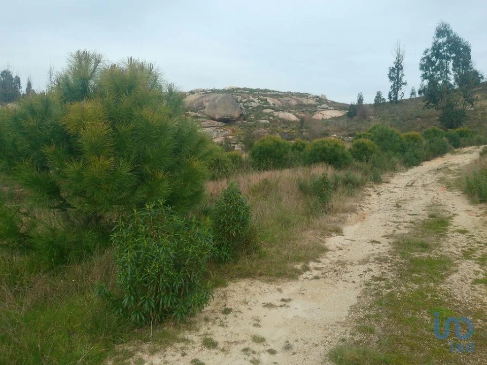 Terreno para Venda em Seixo da Beira Foto 3