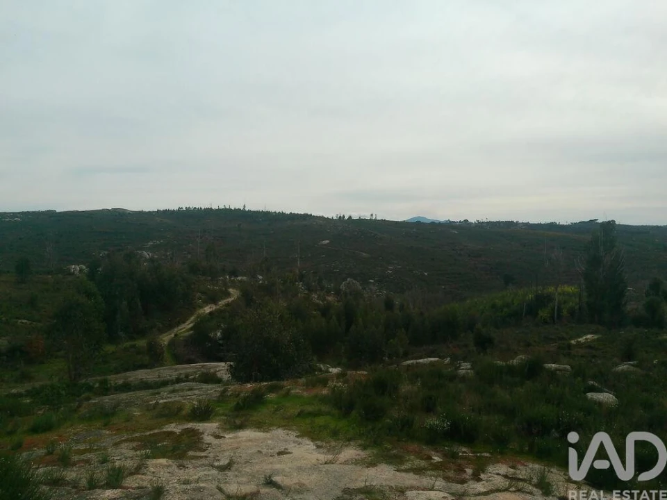 Terreno para Venda em Seixo da Beira Foto 17