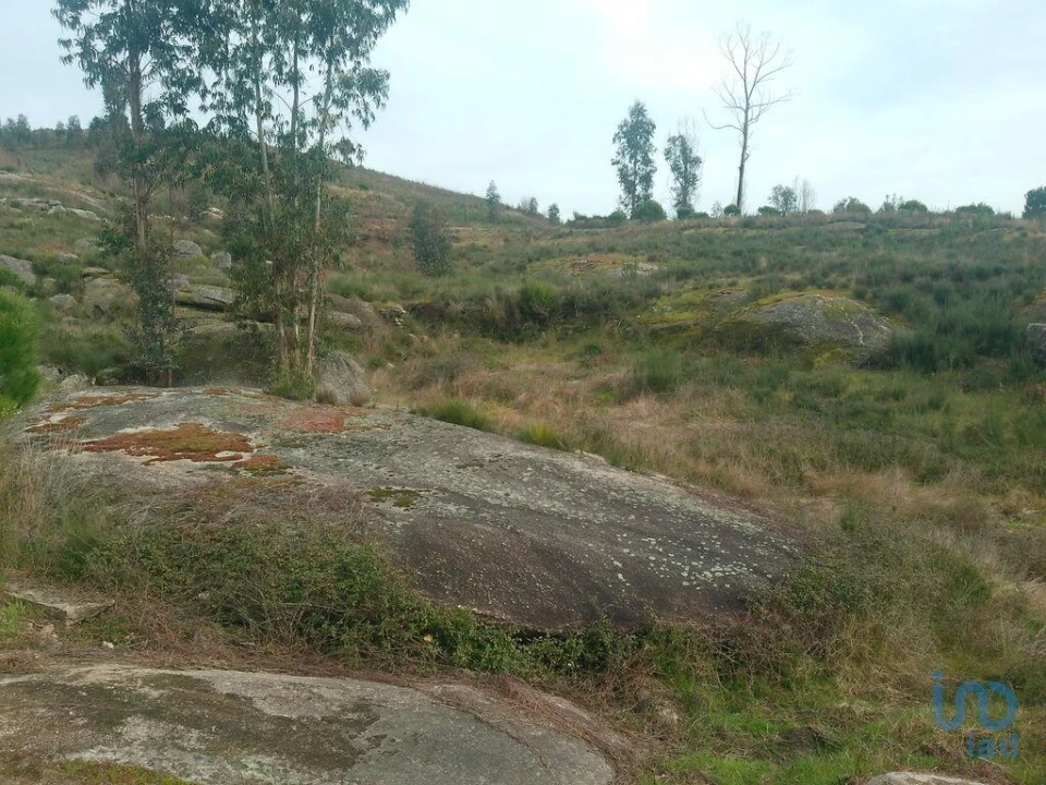 Terreno para Venda em Seixo da Beira Foto 8