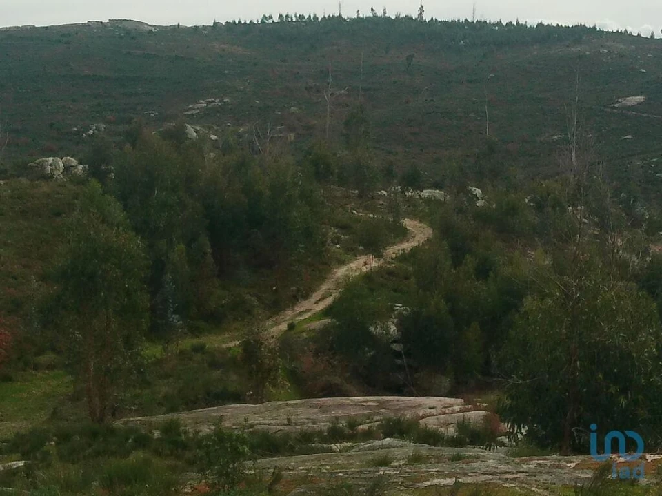 Terreno para Venda em Seixo da Beira Foto 14