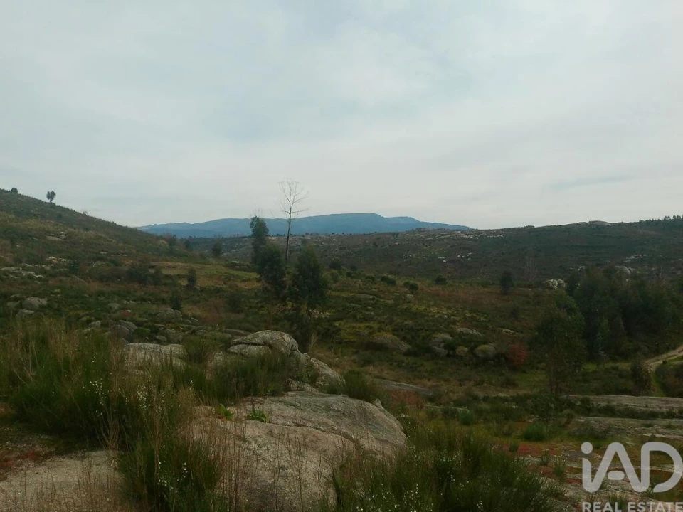 Terreno para Venda em Seixo da Beira Foto 16