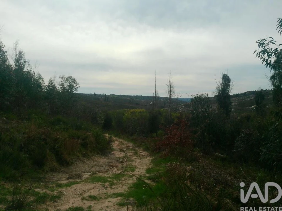 Terreno para Venda em Seixo da Beira Foto 22