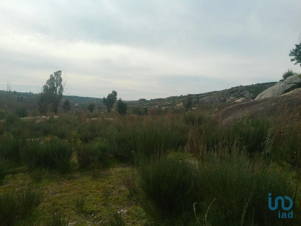 Terreno para Venda em Seixo da Beira Foto 9