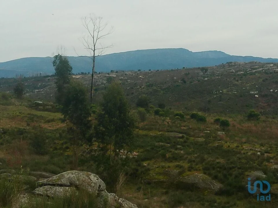 Terreno para Venda em Seixo da Beira Foto 15