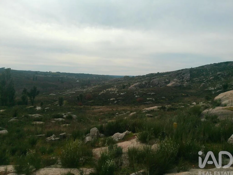 Terreno para Venda em Seixo da Beira Foto 18