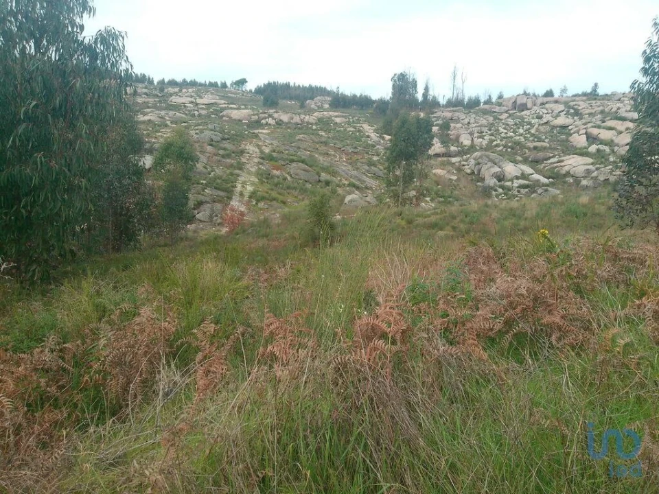 Terreno para Venda em Seixo da Beira Foto 4