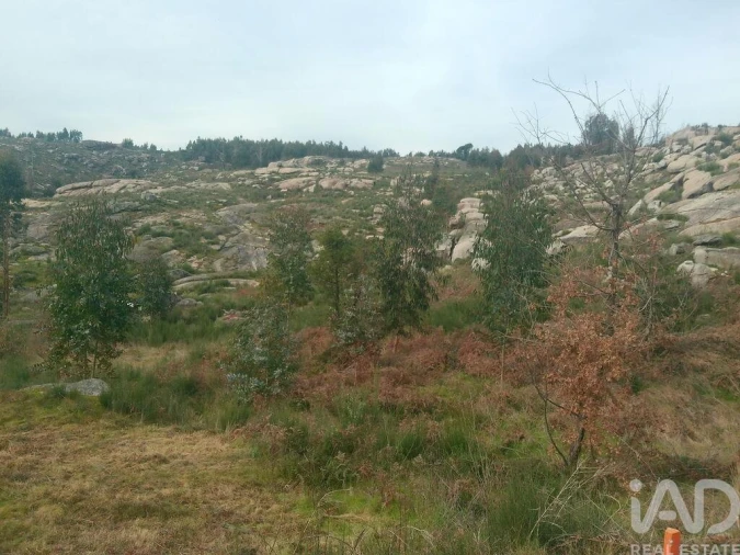 Terreno para Venda em Seixo da Beira Foto 26