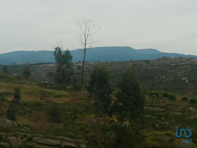 Terreno para Venda em Seixo da Beira Foto 13