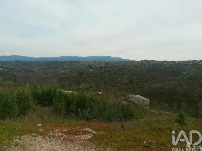 Terreno para Venda em Seixo da Beira Foto 23