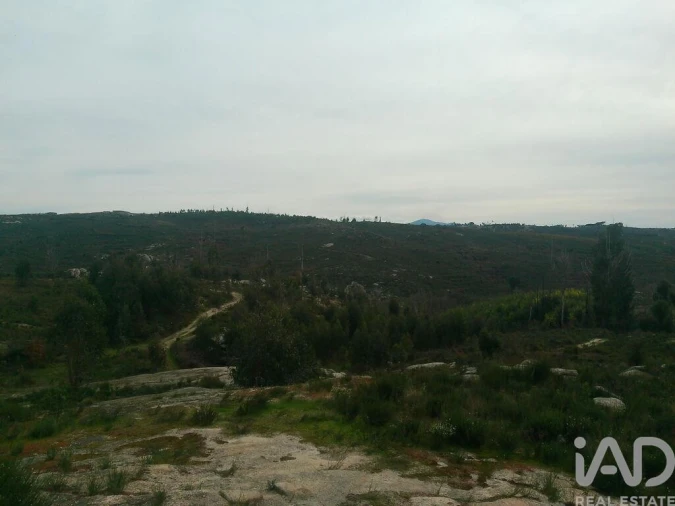 Terreno para Venda em Seixo da Beira Foto 17