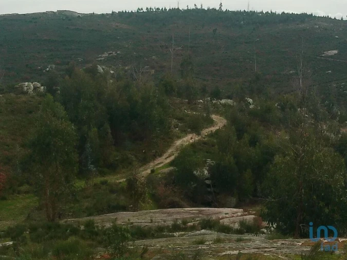 Terreno para Venda em Seixo da Beira Foto 14