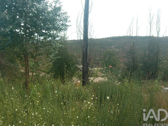 Terreno para Venda em Seixo da Beira Foto 24