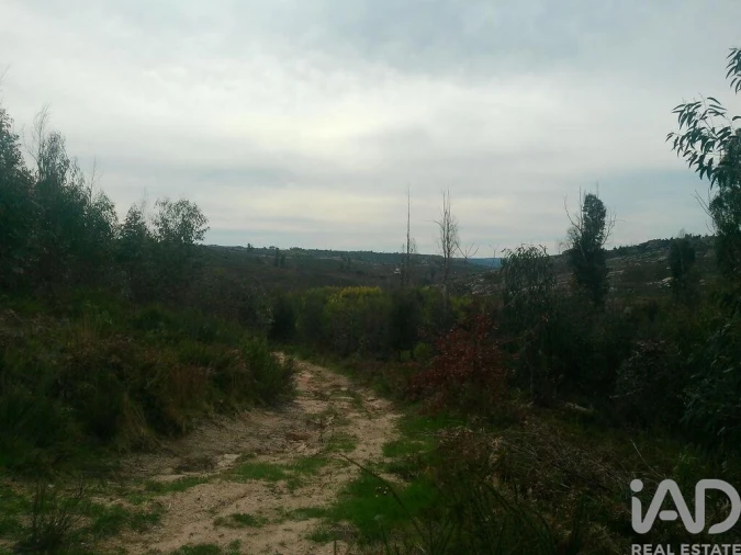 Terreno para Venda em Seixo da Beira Foto 22