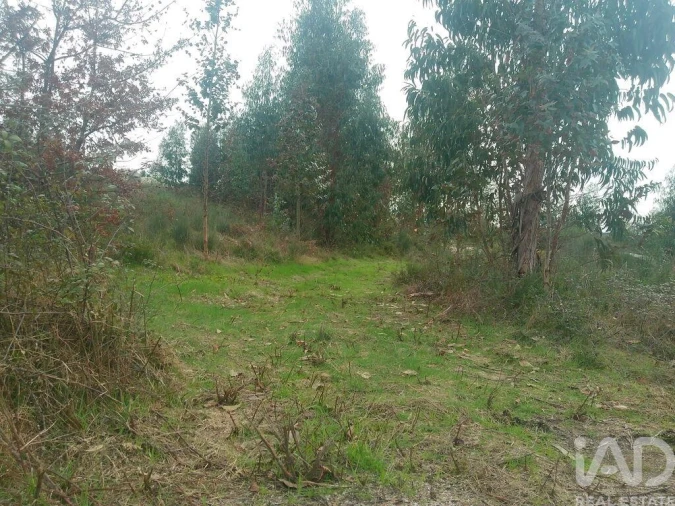 Terreno para Venda em Seixo da Beira Foto 21