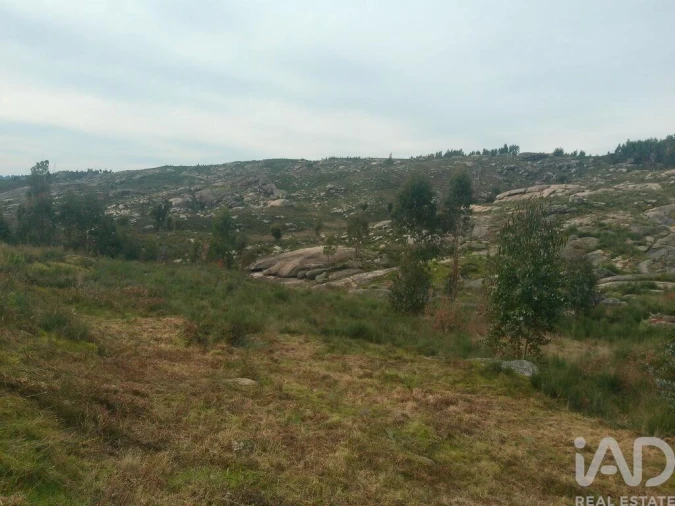 Terreno para Venda em Seixo da Beira Foto 25