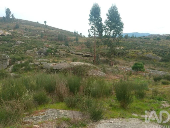 Terreno para Venda em Seixo da Beira Foto 19