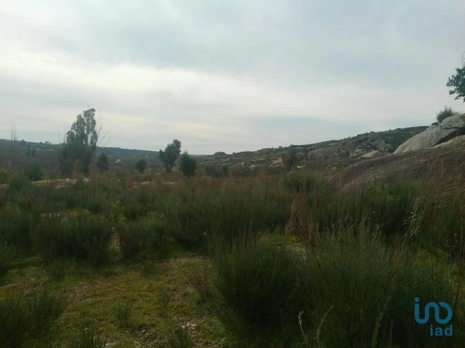 Terreno para Venda em Seixo da Beira Foto 9