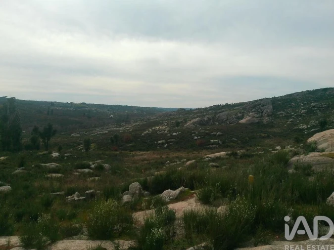 Terreno para Venda em Seixo da Beira Foto 18