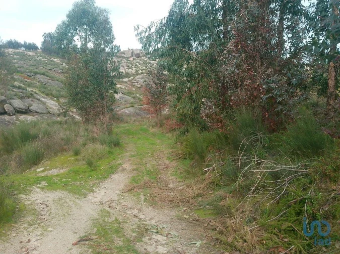 Terreno para Venda em Seixo da Beira Foto 6