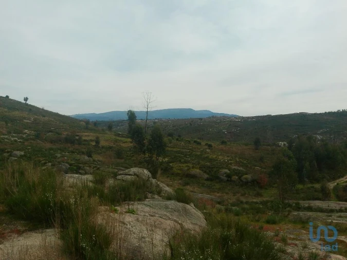 Terreno para Venda em Seixo da Beira Foto 2