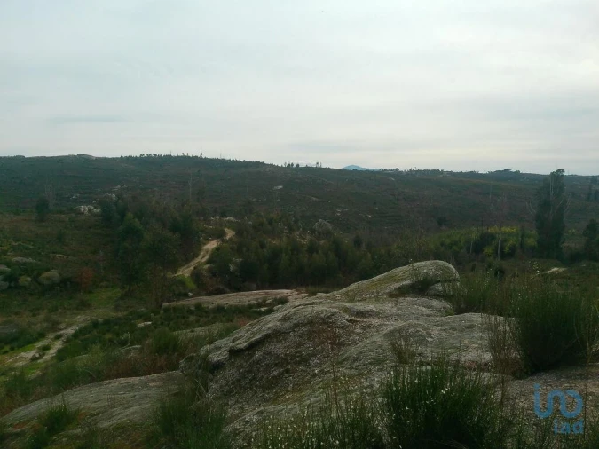 Terreno para Venda em Seixo da Beira Foto 12