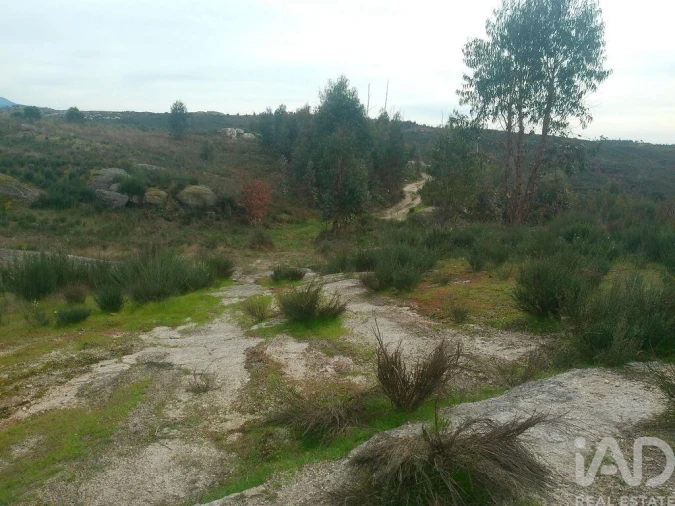 Terreno para Venda em Seixo da Beira Foto 20