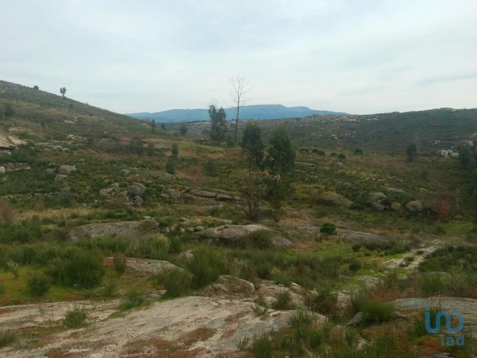 Terreno para Venda em Seixo da Beira Foto 11