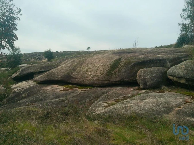 Terreno para Venda em Seixo da Beira Foto 7
