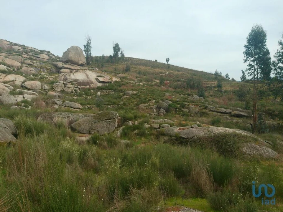 Terreno para Venda em Seixo da Beira Foto 10