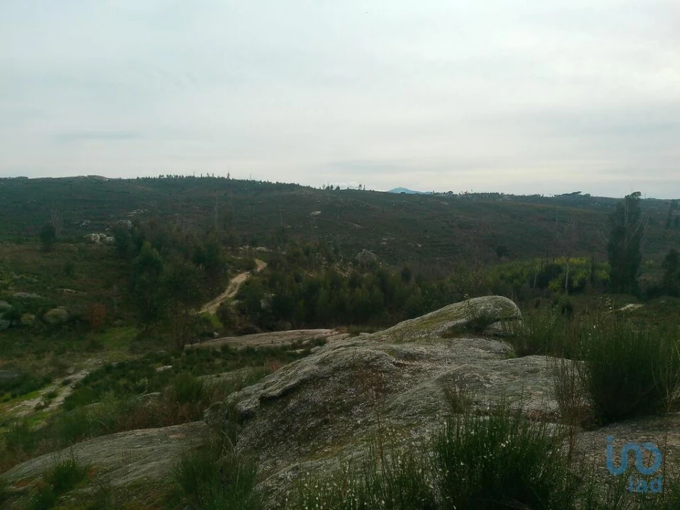 Terreno para Venda em Seixo da Beira Foto 12